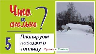 Планируем посадки в теплице. Максимальная отдача с кв.м. и здоровые овощи