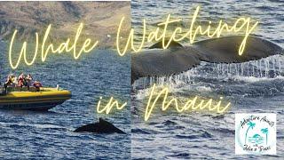 NCL Pride of America, Day 5: Maui Whale Watching w/ the Pacific Whale Foundation #NCLPrideofAmerica