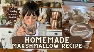 IMMUNE BOOSTING Homemade Marshmallow Recipe!