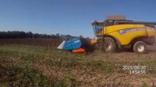 Coupe tournesol POGET