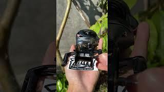 Reel BC Seasir CastX #shorts #shortsvideo #short #shortvideo #mancing #fishing #seasircastx #seasir
