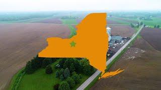 Cayuga County - Your New York address for less