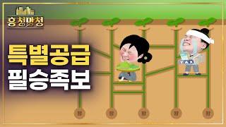 신혼부부 vs 생애최초, 특별공급 유리하게 짜기 | 흥청망청