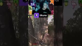 Du brauchst gar keine Hilfe!!! | tikuna auf #Twitch