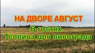 На дворе Август. В гостях.  Теплица для винограда.