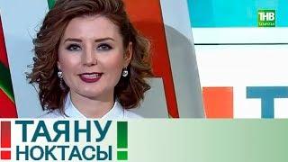 Гаилэ Институты. Таяну Ноктасы 01/02/19 ТНВ