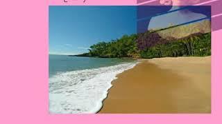 ERICO FALCONE / ON THE BEACH   ビーチ(128 kbps_Preview)[Noir Fidelity Records_Berlin_004]