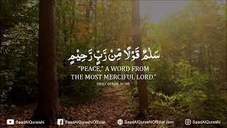 Listen This If You Want Real Peace - Ruqyah for peace and blessings in your life
