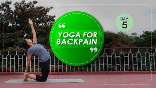 Day 5 of 5 days Yoga For Back Pain Cure  (Follow Along) | Yoga Sessions For Beginners