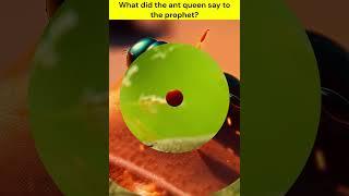 What did the ant queen say to the prophet? #islamicstory #islamicshorts #allah #prophetmuhammad
