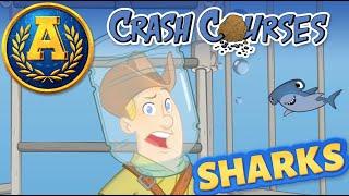 "Crash Courses: Sharks" by Adventure Academy