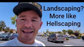 Pests and tree diseases - a parking lot horror story with The Pest Dude