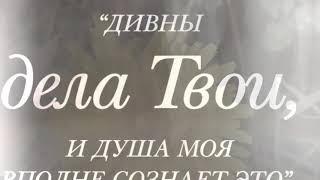 ЗОЛОТЫЕ СТИХИ ИЗ БИБЛИИ