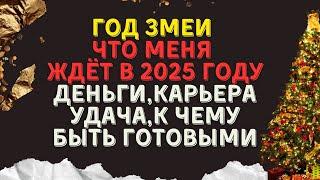 Что ожидает меня в 2025 году, году змеи, в плане работы и финансов, и что следует учесть?