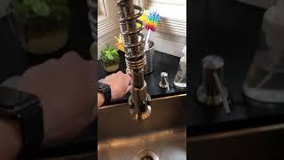 Danze Kitchen Faucet Review/Warning