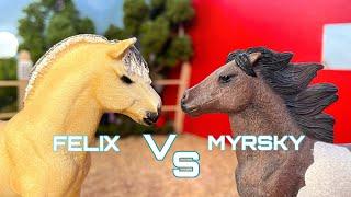 FELIX VS MYRSKY KINGITAISTELU