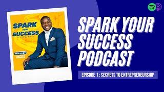 Spark Your Success Podcast: Episode 1 - Secrets to Entrepreneurship