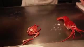 【铁板烧】Japanese Teppanyaki lobster Part 1 Teppanyaki show from professional chef Tokyo Re