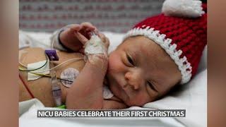 Precious pictures! NICU patients dress for Christmas at Louisville hospitals