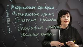 Вид, его критерии и структура. 9 класс.