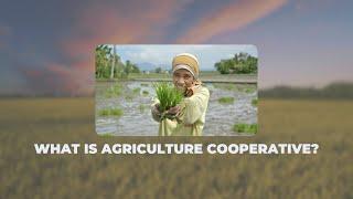 What is Agricultural Cooperative?