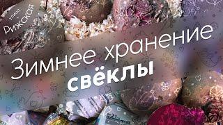 Зимнее хранение свёклы  Простые способы