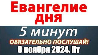 Евангелие дня с толкованием 08 ноября 2024 года Пятница Чтимые святые. Церковный календарь