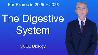 GCSE Biology Revision "The Digestive System"