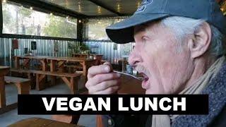 Jaunti Vanlife Green Thumb Nursery with a vegan breakfast today! #southafrica  Vid180