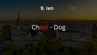 French Lesson 3/Letter combinations in French/Learn French/French for beginners/SK Languages/French