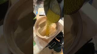 When To Apply Pre-Emergent PRODIAMINE