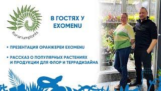 Florariumplants в гостях у EXOMENU. Оранжерея, товары для флорариумов и меристемные растения.