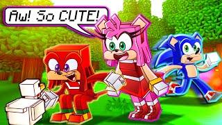 Amy & Knuckles' LIFE in Minecraft - Sonic Minecraft Stories