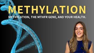 Methylation, the MTHFR gene, and your health.