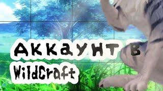 I аккаунт WildCraft I