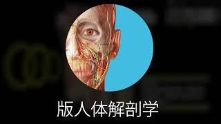 人体解剖学图谱 | 介绍Visible Body用户帐户！