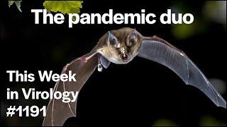 TWiV 1191: The pandemic duo