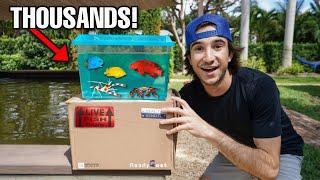 UNBOXING THOUSANDS of SALTWATER INVERTEBRATES For My Aquarium!!