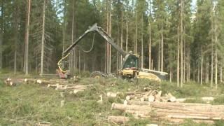 Eco Log 590D equipped with a Log Max 6000 with accumulation kit Forestry Machine