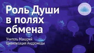 Софоос. Ченнелинг. Учитель Макарий, Андромеда "Роль Души в полях обмена".