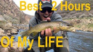 UTAH FISHING //BEST day I've EVER had on the Weber River//