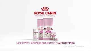 Роял Канин для котят (Royal Canin kitten)