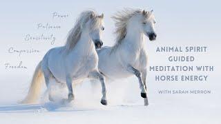 Animal Spirit Guided Meditation With Horse Energy | Shamanic Meditation Series