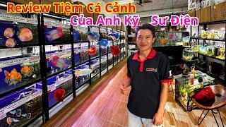 Visit the Aquarium Shop of an Electrical Engineer | Betta Sales