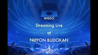 wacci Streaming Live at NIPPON BUDOKAN