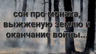 Сон про монаха и выжженую землю, и окончание войны..Сон август 2024