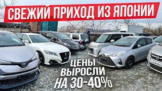 АКТУАЛЬНЫЕ ЦЕНЫ на авто из Японии МАРТ 2022.   РОСТ ЦЕН 30-40%. ЧТО ДАЛЬШЕ