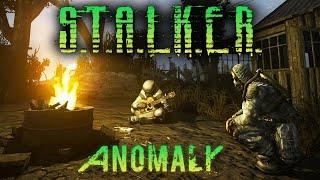 ВЫЖИВАНИЕ В S.T.A.L.K.E.R. ANOMALY - АРТЕФАКТ НАШЛИ, ТЕПЕРЬ В КРОЛИЧЬЮ НОРУ. ПУТЕПРОВОД. (СТРИМ) #2