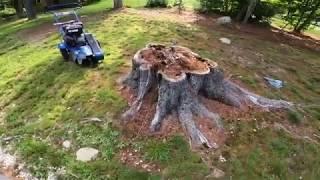 Small Bluebird Stump grinder does big stumps easy!