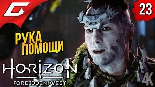 КОТАЛЛО и АДСКАЯ ГОНКА  Horizon 2: Forbidden West / Запретный Запад ◉ Прохождение #23